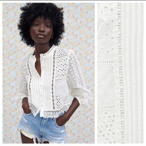 Blouse - Zara embroidered top THE SAMANTHA BLOUSE